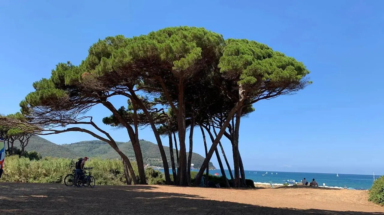 Abitare Con L'Arte Di Un Art Designer Apartment Piombino Italy